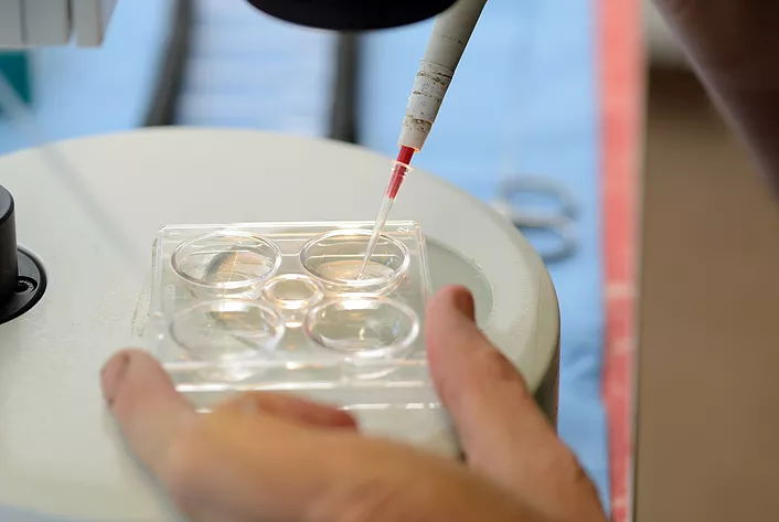 Researchers Developing Technologies about Genetic Traits, Defects and Disease in Animals